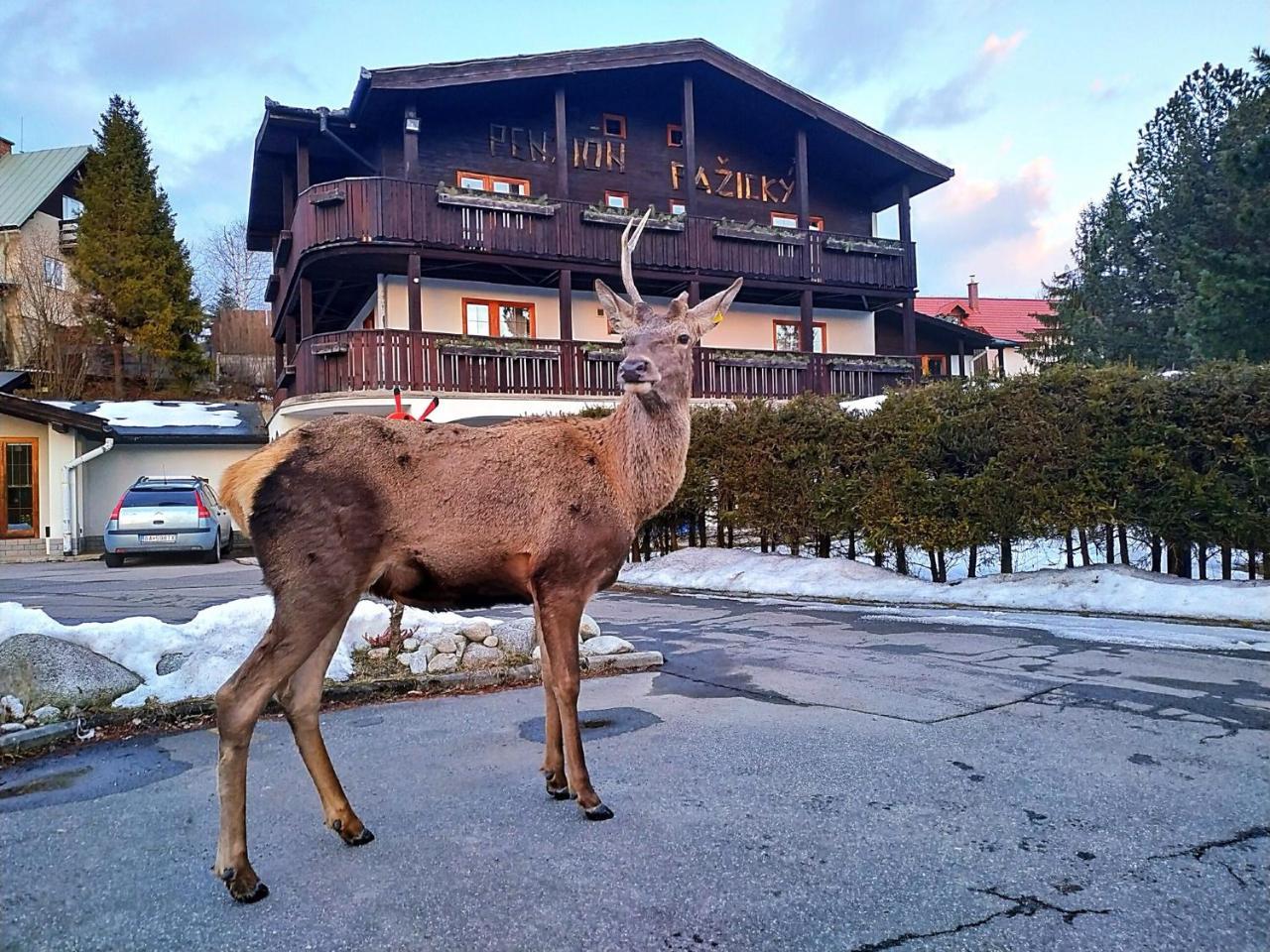 Penzion Pažický Stará Lesná Exteriér fotografie